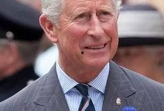 查尔斯最新爆料视频,惊人内幕曝光